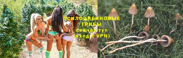 гашиш Аркадак